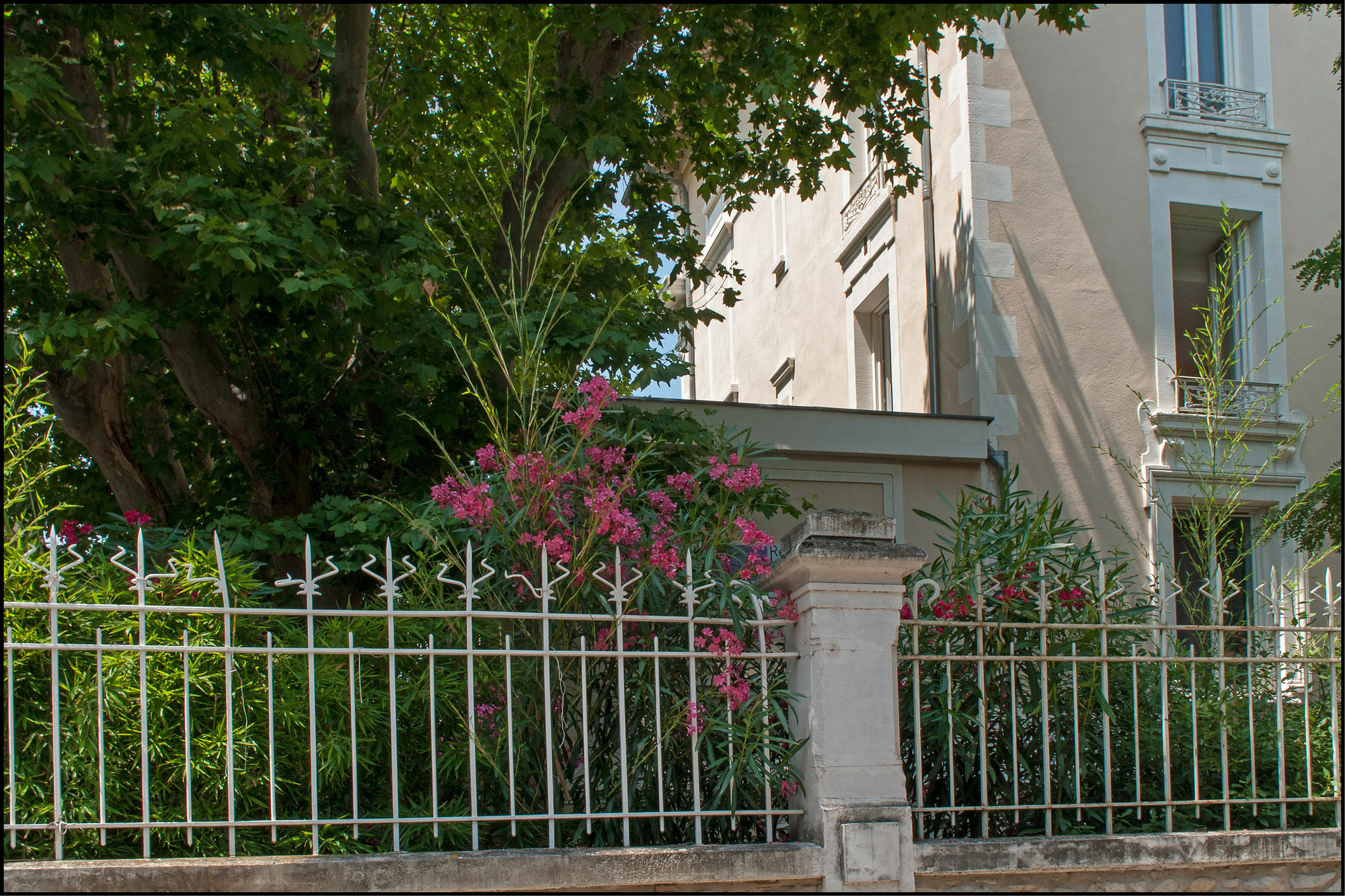 Residence Les Cordeliers Avignon Exterior foto